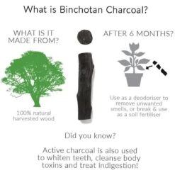 Black + Blum Binchotan Active Charcoal For Eau Good Water Bottles 4-pack -Meubelwinkel 1200x1200 1182