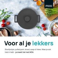 MOA Gietijzeren Braadpan - Inhoud 7,1 Liter - 29CM - Rond - Alle Warmtebronnen - Ook Voor Inductie - Gewicht 7,6 Kg - Zwart - MC29B 13 MOA Gietijzeren Braadpan - Inhoud 7,1 Liter - 29CM - Rond - Alle Warmtebronnen - Ook Voor Inductie - Gewicht 7,6 Kg - Zwart - MC29B -Meubelwinkel 1200x1200 563