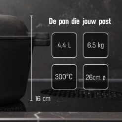 Daumonet Ducasse Gietijzeren Double Use Braadpan - Combi Sudderpan Zwart - 2-in-1 Bak- En Braadpan - PFAS & PFOA Vrij - Rond - Ø 26 Cm - 4,4 Liter - Emaille - Alle Warmtebronnen - Elektrisch - Gas - Halogeen - Inductie - Keramisch -Meubelwinkel 1200x1200 588