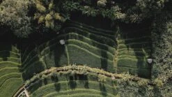 Sola Bestekset Bali - Modern - 9 Persoons - 90 Delig - Zilverwit Edelstaal 18/10 - RVS - Zilver 10 Sola Bestekset Bali - Modern - 9 Persoons - 90 Delig - Zilverwit Edelstaal 18/10 - RVS - Zilver -Meubelwinkel 1200x675 11