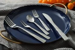 Swiss Pro+ Bestekset In Koffer-72 Delig-12 Persoons-Zwitsers Kwaliteit-Complete Set-100% Roestvrijstaal-Modern 24 Swiss Pro+ Bestekset In Koffer-72 Delig-12 Persoons-Zwitsers Kwaliteit-Complete Set-100% Roestvrijstaal-Modern -Meubelwinkel 1200x799 49