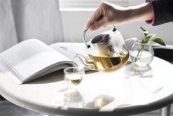 Viva Scandinavia Bjorn Theepot - Glas - Met Filter - 1,2 L - Transparant 19 Viva Scandinavia Bjorn Theepot - Glas - Met Filter - 1,2 L - Transparant -Meubelwinkel 1200x807 3