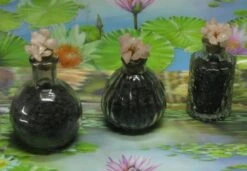 1000g Shungiet Shungite Stenen Voor Water En Ontstoring 22 1000g Shungiet Shungite Stenen Voor Water En Ontstoring -Meubelwinkel 1200x832 4