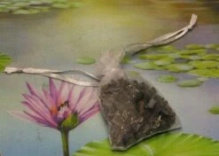 1000g Shungiet Shungite Stenen Voor Water En Ontstoring 23 1000g Shungiet Shungite Stenen Voor Water En Ontstoring -Meubelwinkel 1200x853 4